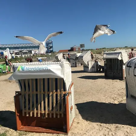 Semesterbostad Sieglinde Mit Deichblick