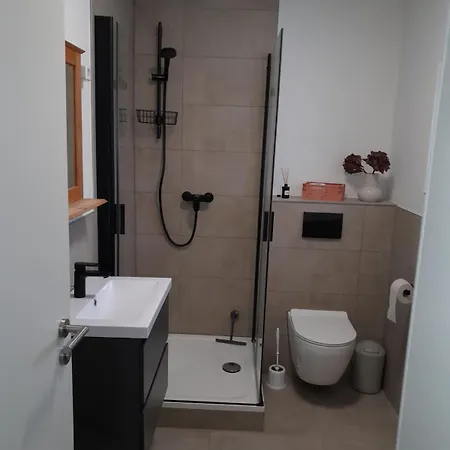 Sieglinde Mit Deichblick Emden